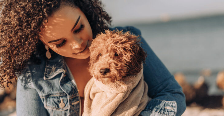 Are Goldendoodles Easy To Train? Top Tips for Training and Care