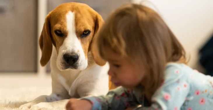 Meeting the Basic Needs of Your Dog: Ensuring a Happy and Healthy Companion