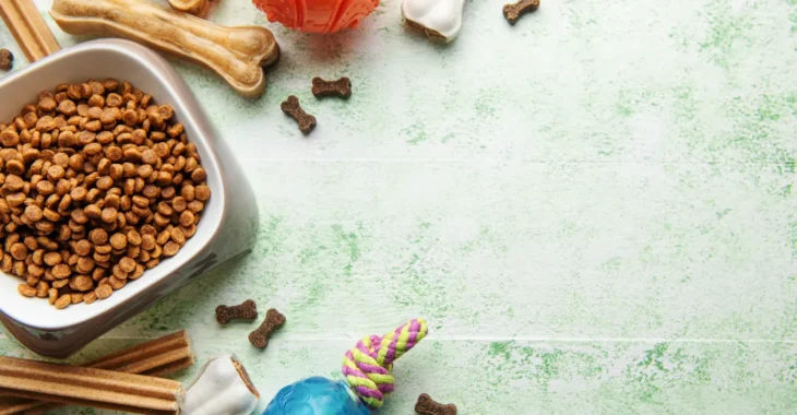 Kirkland Dog Food vs Blue Buffalo: Which One is Better?