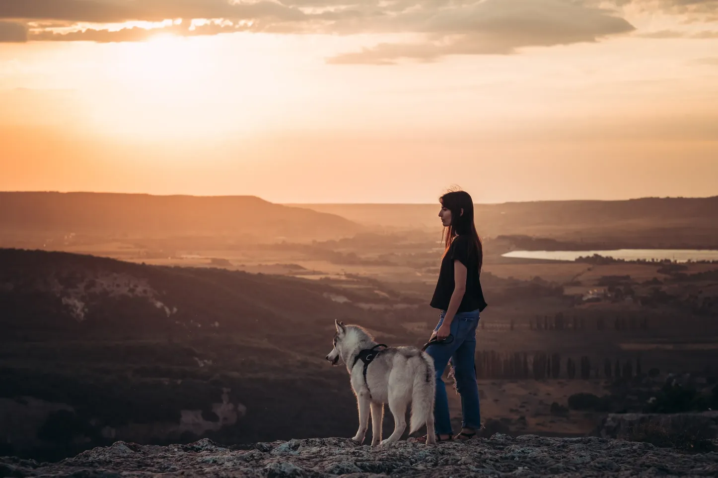 Best Dog Food for Huskies with Sensitive Stomach: Top Picks for Healthy Nutrition
