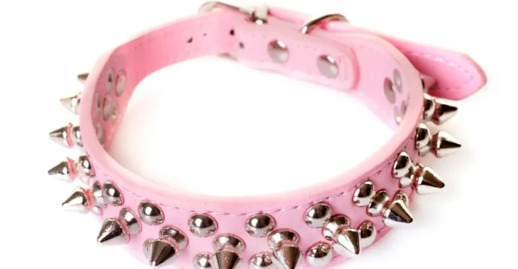 Are Spiked Collars Good for Dogs? The Pros and Cons of Spiked Dog Collars