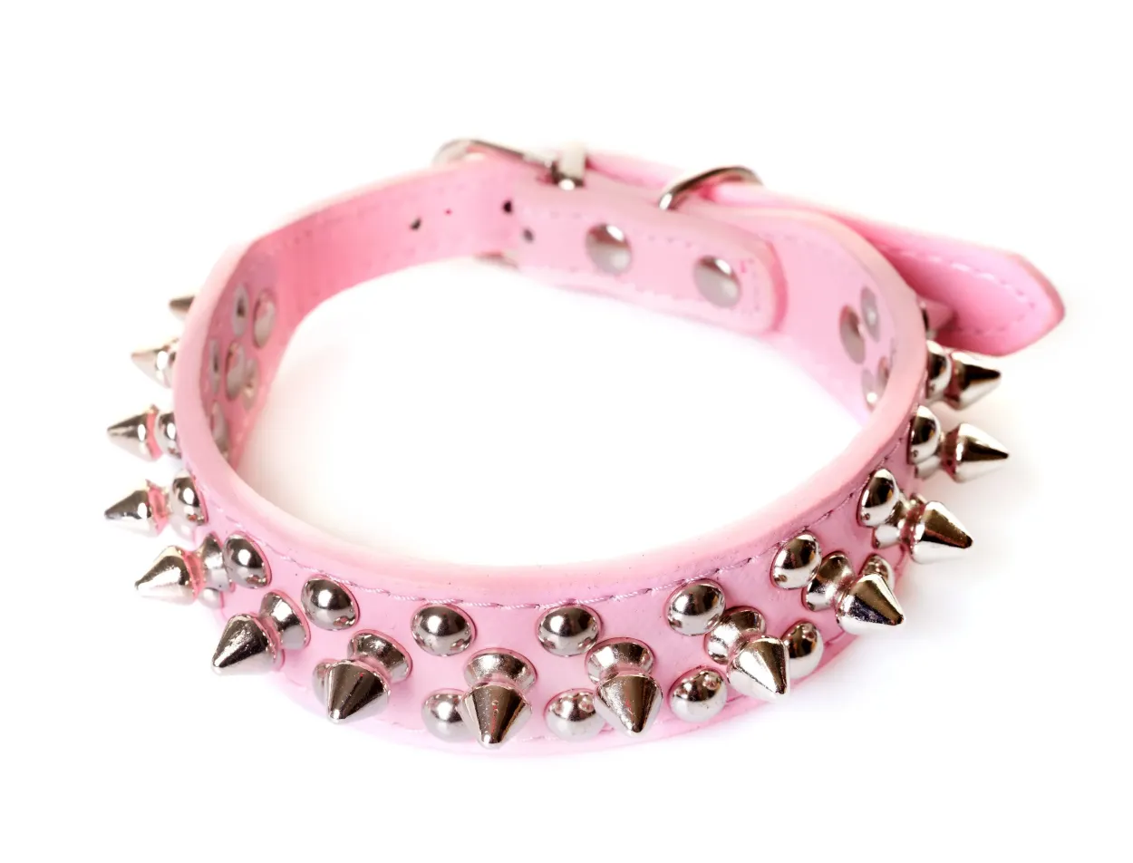 Are Spiked Collars Good for Dogs? The Pros and Cons of Spiked Dog Collars