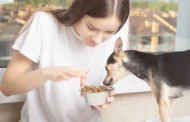 Can Humans Eat Dog Food? Exploring Safety & Health