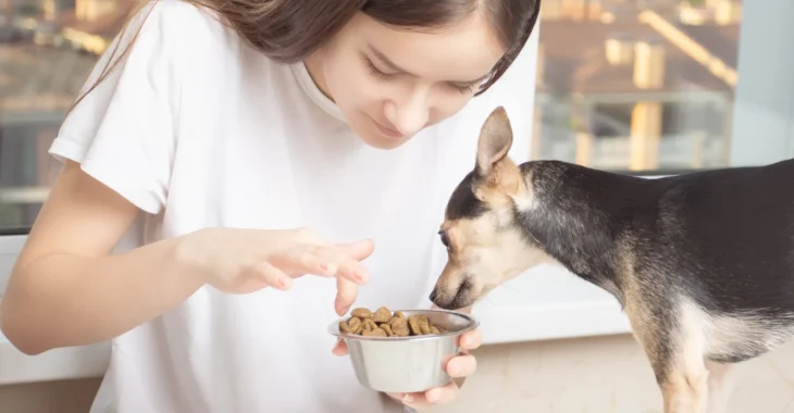 Can Humans Eat Dog Food? Exploring Safety & Health