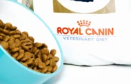 Is Royal Canin Good Dog Food? A Balanced Diet for Your Dog