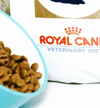 Is Royal Canin Good Dog Food? A Balanced Diet for Your Dog