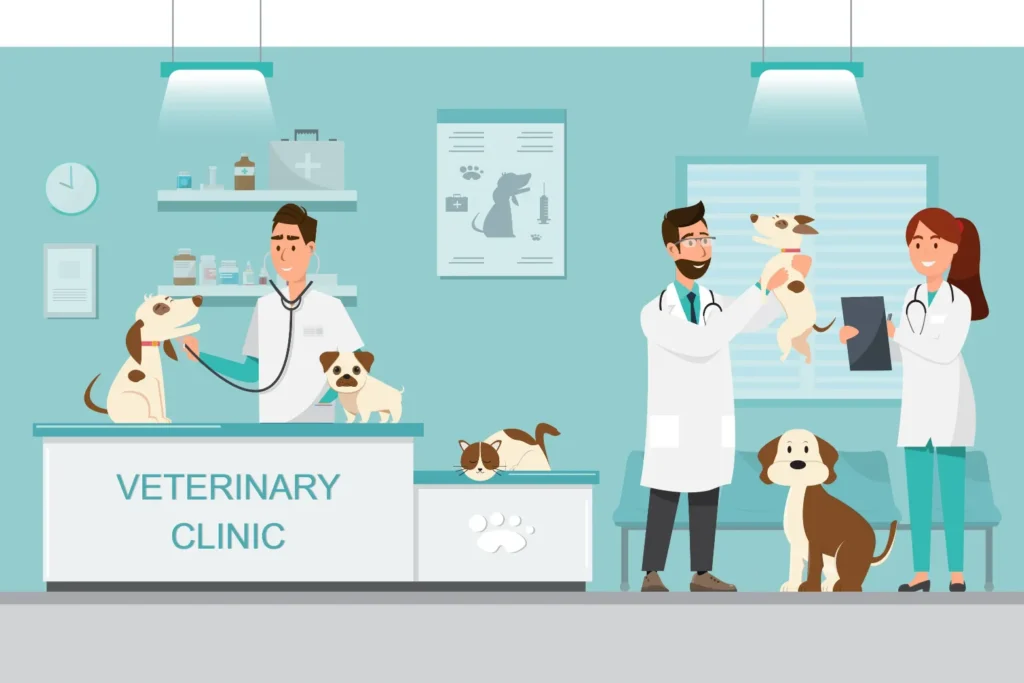 Veterinarian and nutritionist discussing animal nutrition