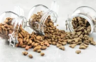 Ideas for Dog Food Storage: Tips and Tricks for Organizing Your Pet’s Nutrition