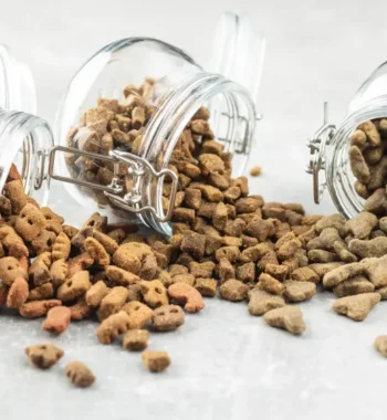Ideas for Dog Food Storage: Tips and Tricks for Organizing Your Pet’s Nutrition