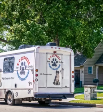 Decoding Mobile Dog Grooming Prices: Your Essential Guide to Saving Big!