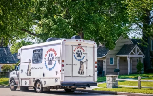 Decoding Mobile Dog Grooming Prices: Your Essential Guide to Saving Big!