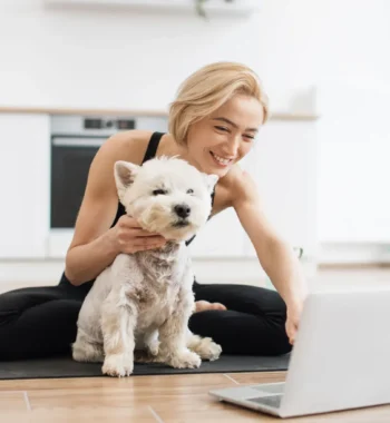 Why Online Dog Grooming Courses are a Game-Changer for Aspiring Groomers