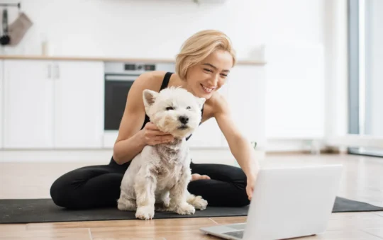 Why Online Dog Grooming Courses are a Game-Changer for Aspiring Groomers