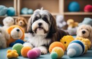 What Dog Toys Are Best For Havanese?